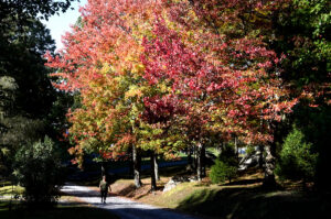 There are ways to enjoy fall safely